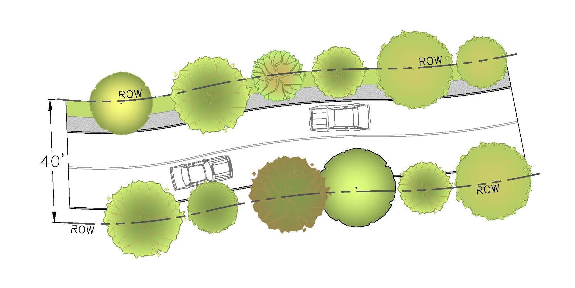 Subdivision Road Scenario 3 Tree Canopy BMP